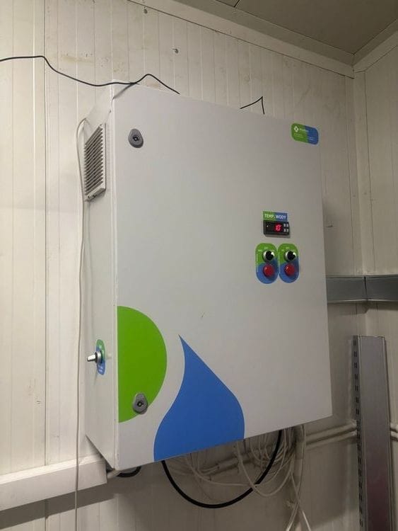 plant-10.jpg