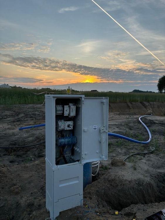 plant-2.jpg