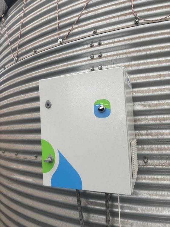 plant-9.jpg